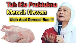 Kie Praktek mencit hewan Anu bener Menurut Syare'at Islam ||Kh abuya Uci Turtusi ||Lentera Hidup