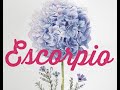 🌺 ESCORPIO 🦚