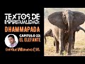 TEXTOS DE ESPIRITUALIDAD: DHAMMAPADA. CAPITULO 23: EL ELEFANTE