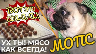 видео: Питание Мопса. НЕ БРОСАЕМ! кормить натуралкой картинка: Питание Мопса. НЕ БРОСАЕМ! кормить натуралкой