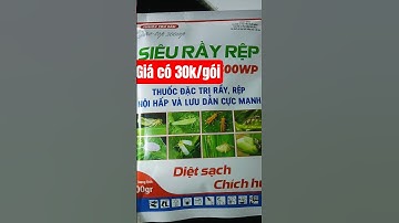 Đặc trị rầy rệp hiệu quả nhất hiện nay #cayot