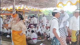 Wayonan Ida Bhatara Tedun Mesolah Pura Desa Nagasepaha