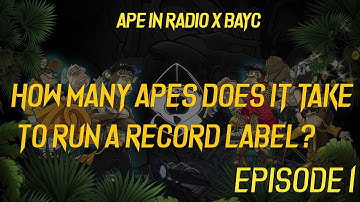 How many APES does it take to run a RECORD LABEL? | Ape-In Radio: Episode 1 |  BAYC X AIP
