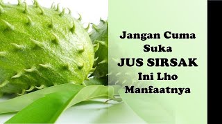 Manfaat Jus Buah Sirsak | Khasiat Jus Sirsak Untuk Kesehatan Yang Kalian Belum Ketahui