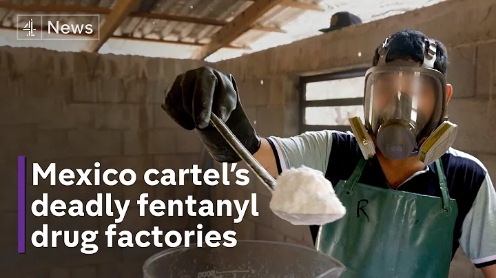 Inside the fentanyl cartel: Mexico crime lords feeding US addiction - DayDayNews