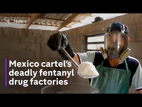 Video: Vláda USA chce získat 14 miliard amerických dolarů z finančních prostředků El Chapo na výrobu drog