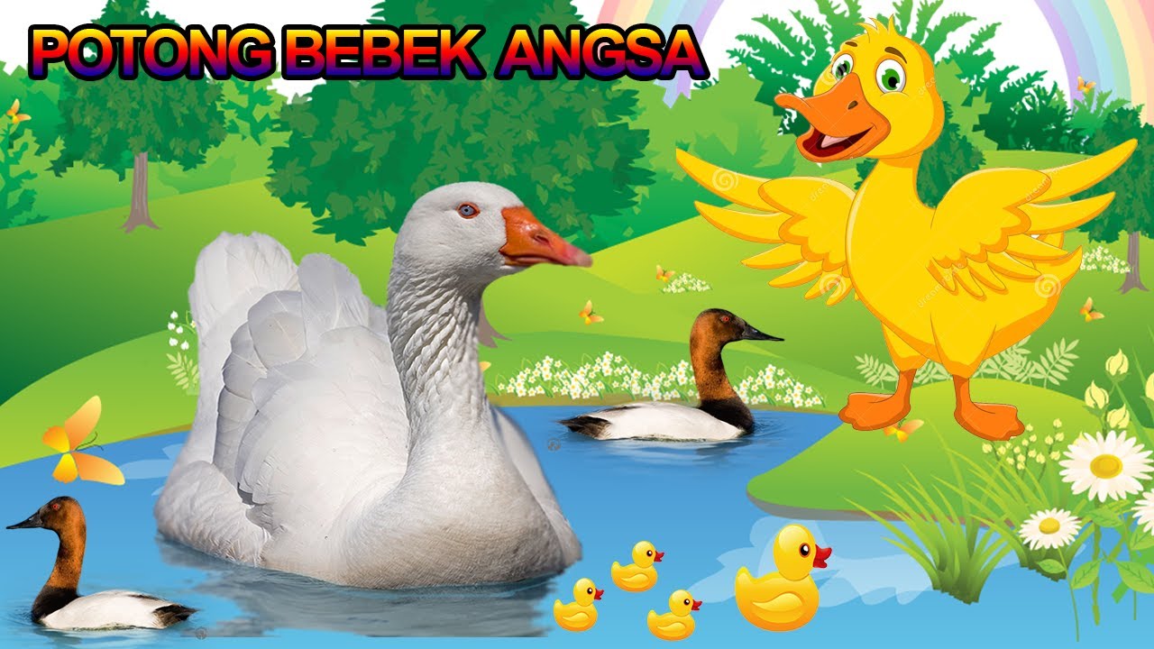 Potong Bebek Angsa Chords Chordify Potong Bebek Angsa Chords Chordify