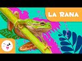 La rana 🐸 Animales para niños 🏞️ Episodio 6
