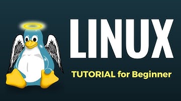 MAN Commands in Linux
