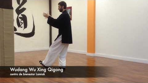 Wudang Wu Xing Qigong