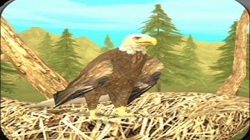 Wild Eagle Sim 3D By Turbo Rocket Games - Android / iOS - Gameplay