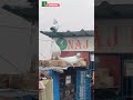Pigeon video | #kobutor #shorts #ytshorts #trendingshorts