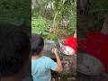 ഒരു പാത്രഠ മീൻ അവൻ പൂച്ചയ്ക്കു കൊടുത്തു 😩😩😩 കുരുത്ത്ക്കേടു unlimited