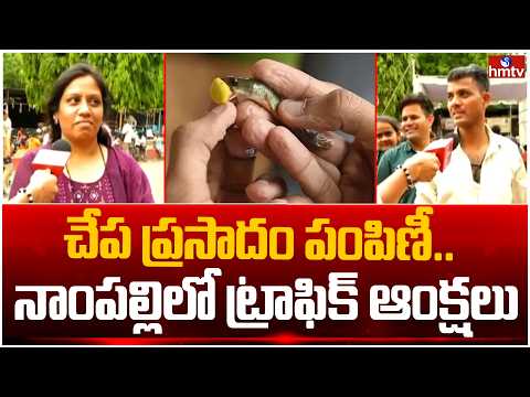చేప ప్రసాదం పంపిణీకి సర్వం సిద్ధం.. | Chepa Mandu In Hyderabad | Nampally Exhibition Grounds | hmtv - HMTVNEWS