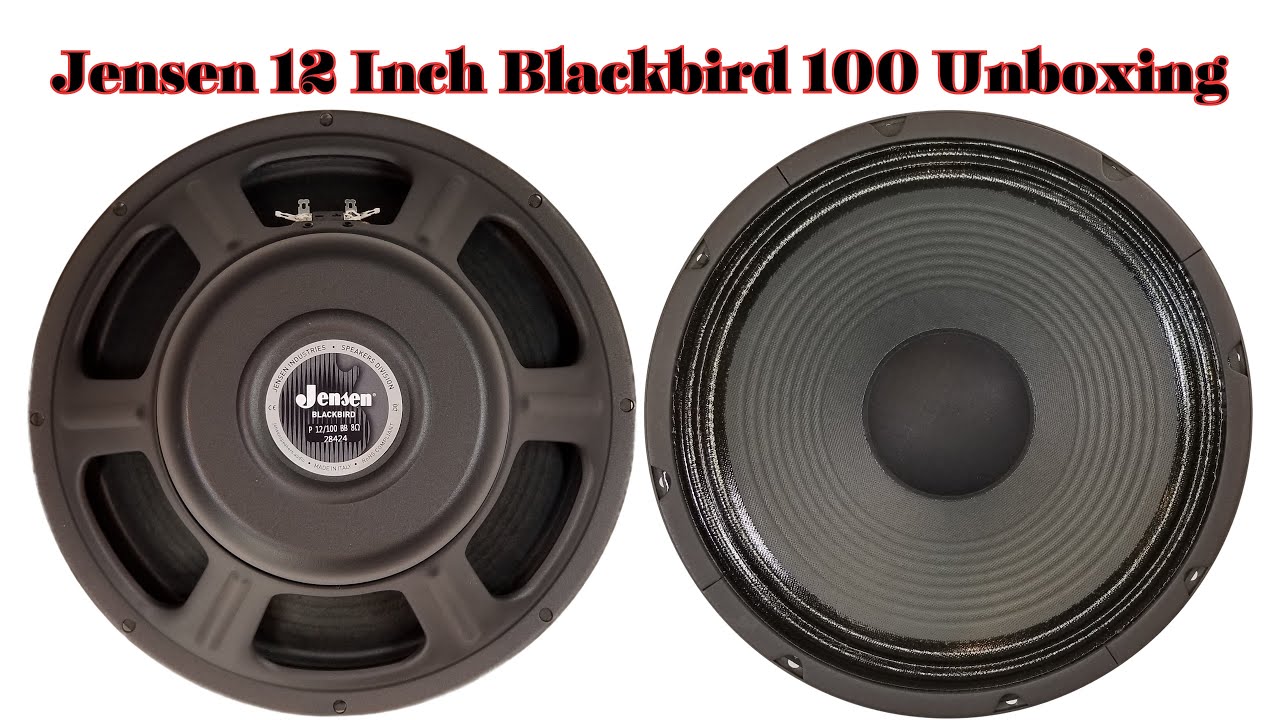 Jensen Blackbird JP12-100BB Alnico Speaker Unboxing - YouTube