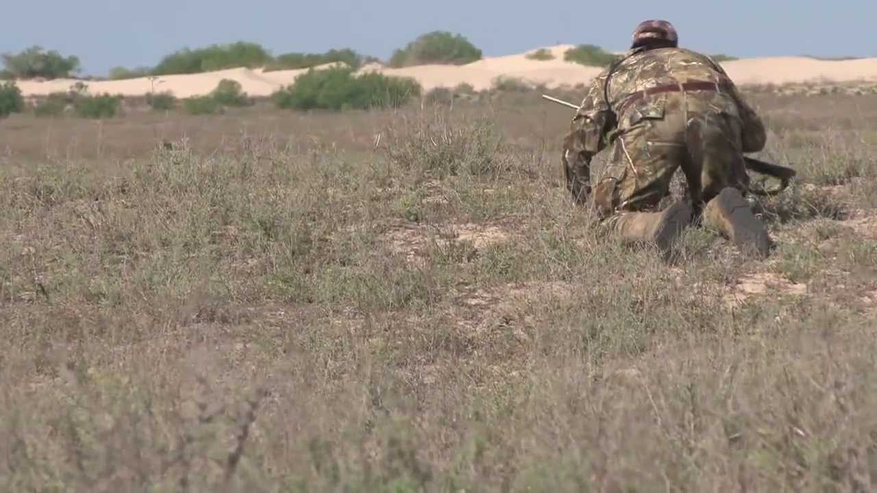 South Texas Nilgai Hunt with Double Shot Outfitters 