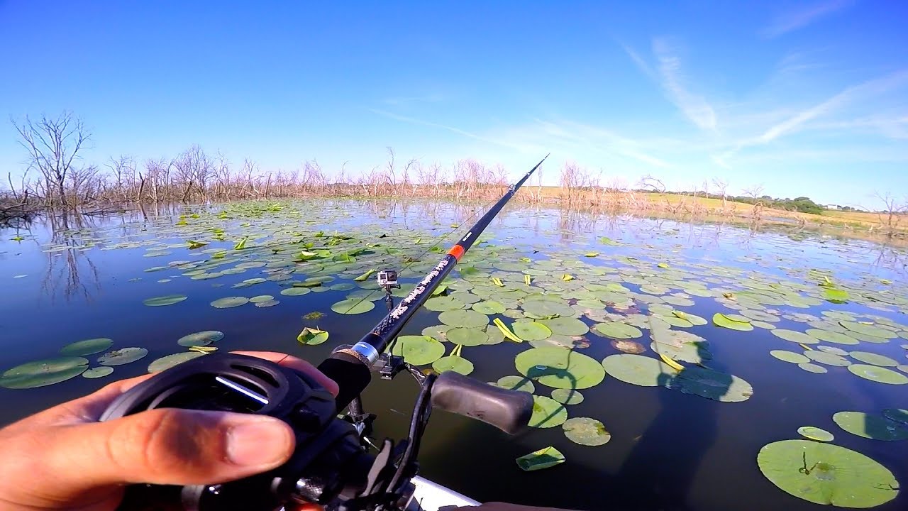 Fishing BIG Worms for BIG Bass!!
