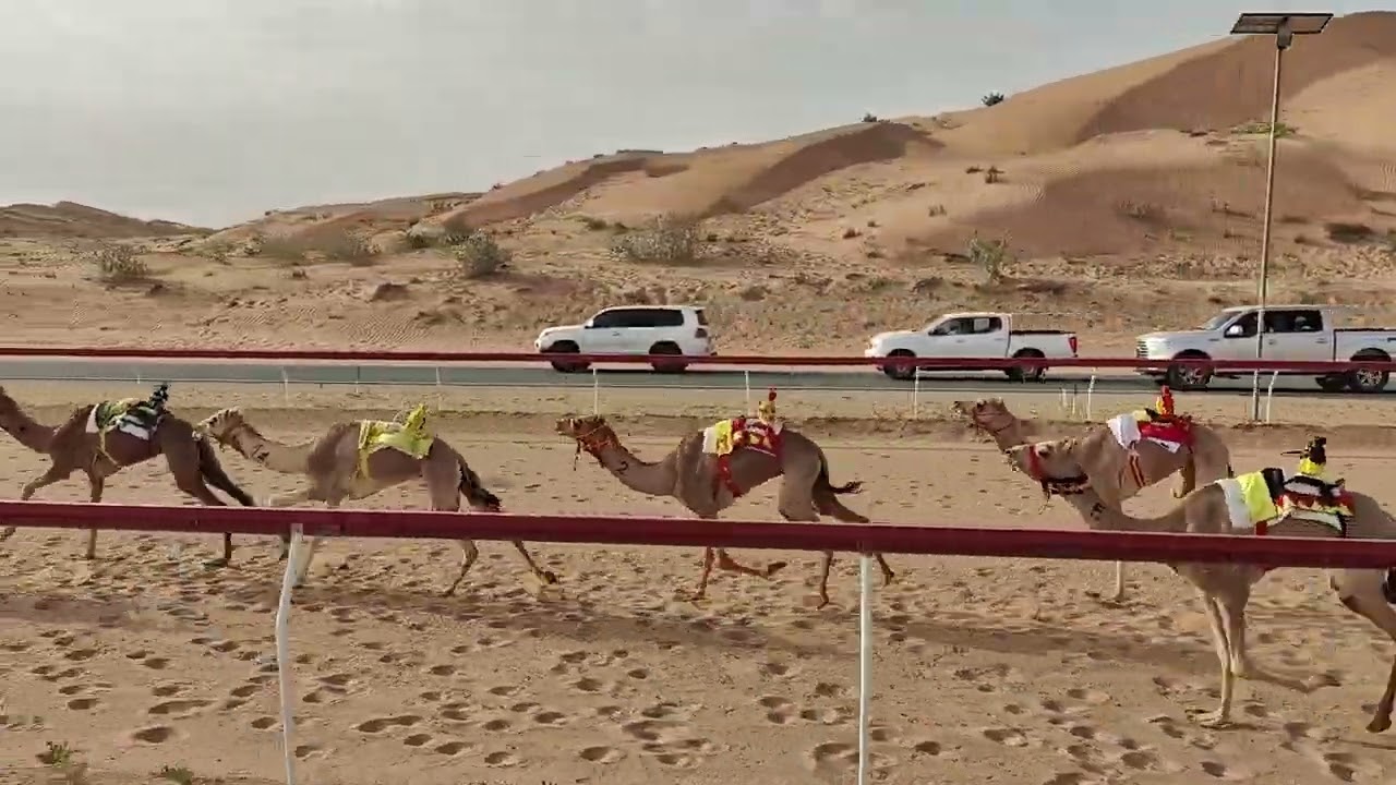 ش17قياده - محمد بن عبد الله بن شميل الكتبي 7:43