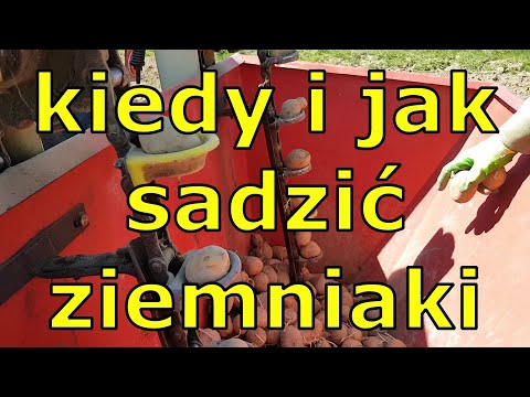 Wideo: Metody I Schematy Sadzenia Ziemniaków, Jak I Na Jakiej Głębokości Sadzić