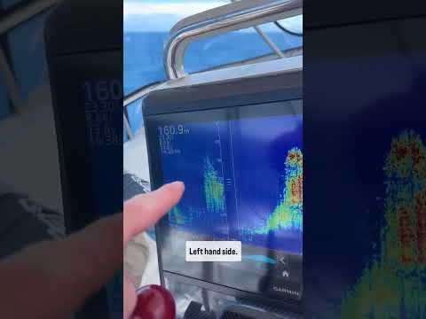Garmin PS70 Panoptix Sonar views