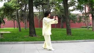 Xingyi Tiger Shape虎行
