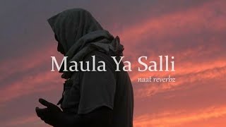 Maula Ya Salli Ft. Sami Yusuf Qasida Burda Shareef (Slowed   Reverb)