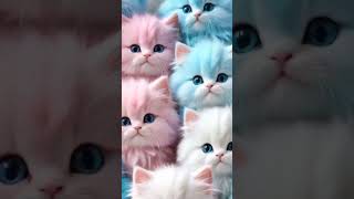 Stocat Ai Cat Images Very Cute Cats In This Video Wtsap Stats And Reelscute Kitty Cat