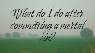 What to do after committing a mortal sin
