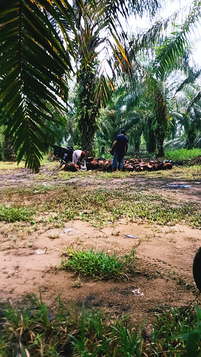 CUTTING THE STUB, IT'S A SIGN THAT THE BOSS IS THE GUYS #shortvideo