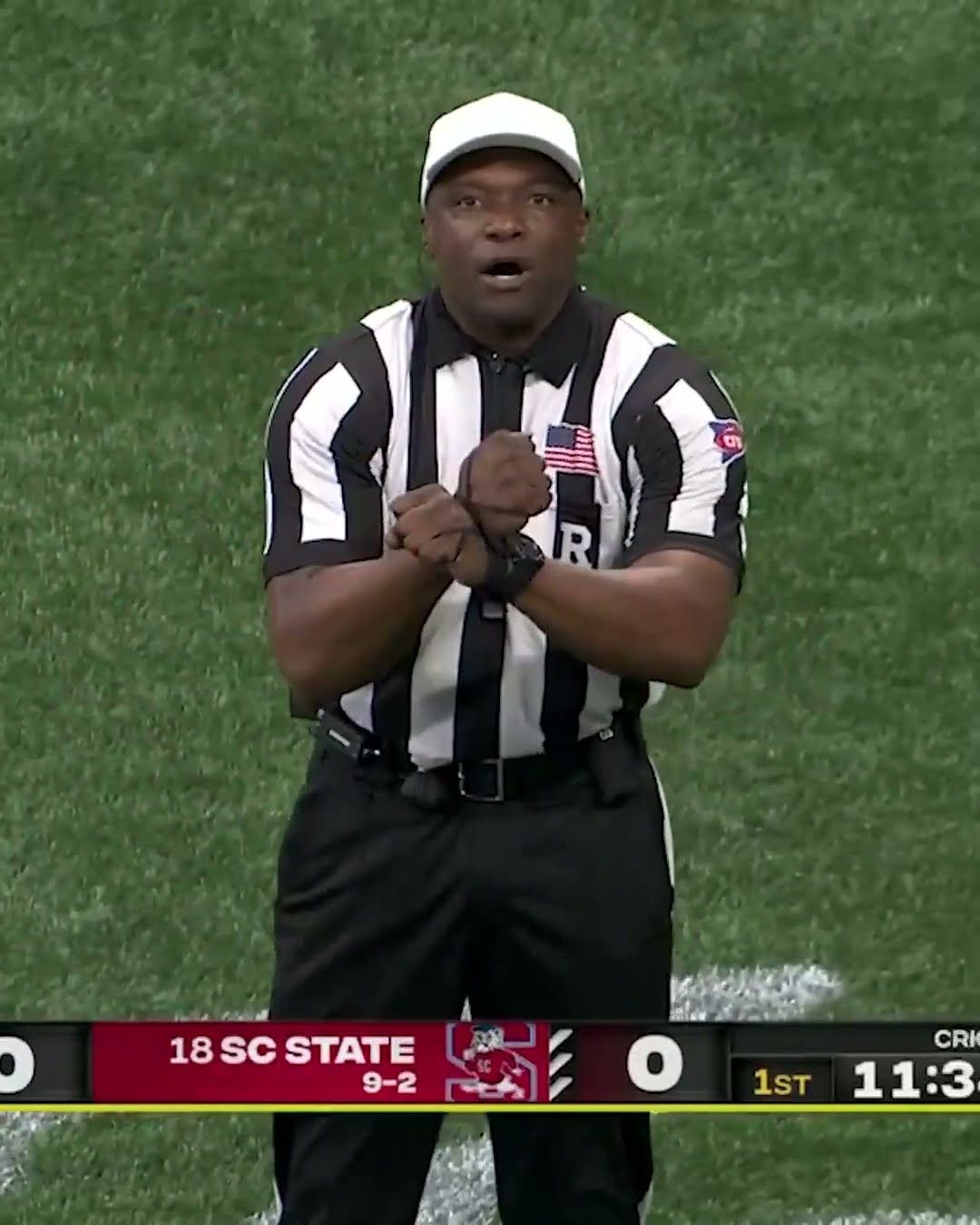 The referee gave a salute to military veterans before making the penalty call ?
