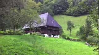 Watch Gobetweens German Farmhouse video