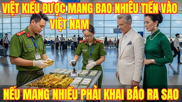 Bà con Việt Kiều về quê ăn tết 2026 được mang theo bao nhiêu tiền, Nếu mang vượt thì phải làm sao ?