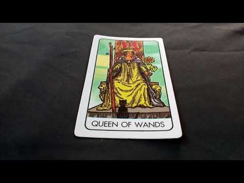 ไพ่ยิบชี ไพ่ราชินีไม้เท้า(QUEEN OF WANDS)และความหมาย