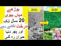 Couple Planted Trees for 20 years and People were Shocked