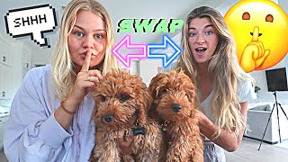 Switching Our Puppies To See If They Notice! *CUTE REACTION*