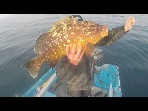 Βίντεο: Πώς να ψαρεύετε σωστά με ένα Wobbler