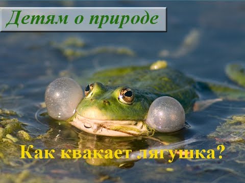 Видео как трахаются в воде