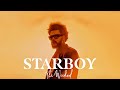 Starboy  the weeknd lyrics