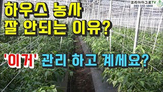 하우스 농사가 잘 안되는 이유