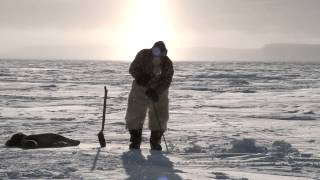 Video_Inuit_and_Polar_Bears(Nanuq)