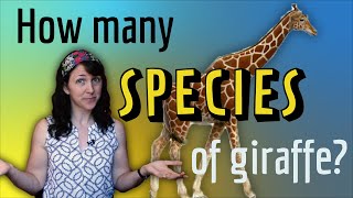 Species Concepts in Recent Research - How Scientists Discovered 3 New Species of Giraffe!