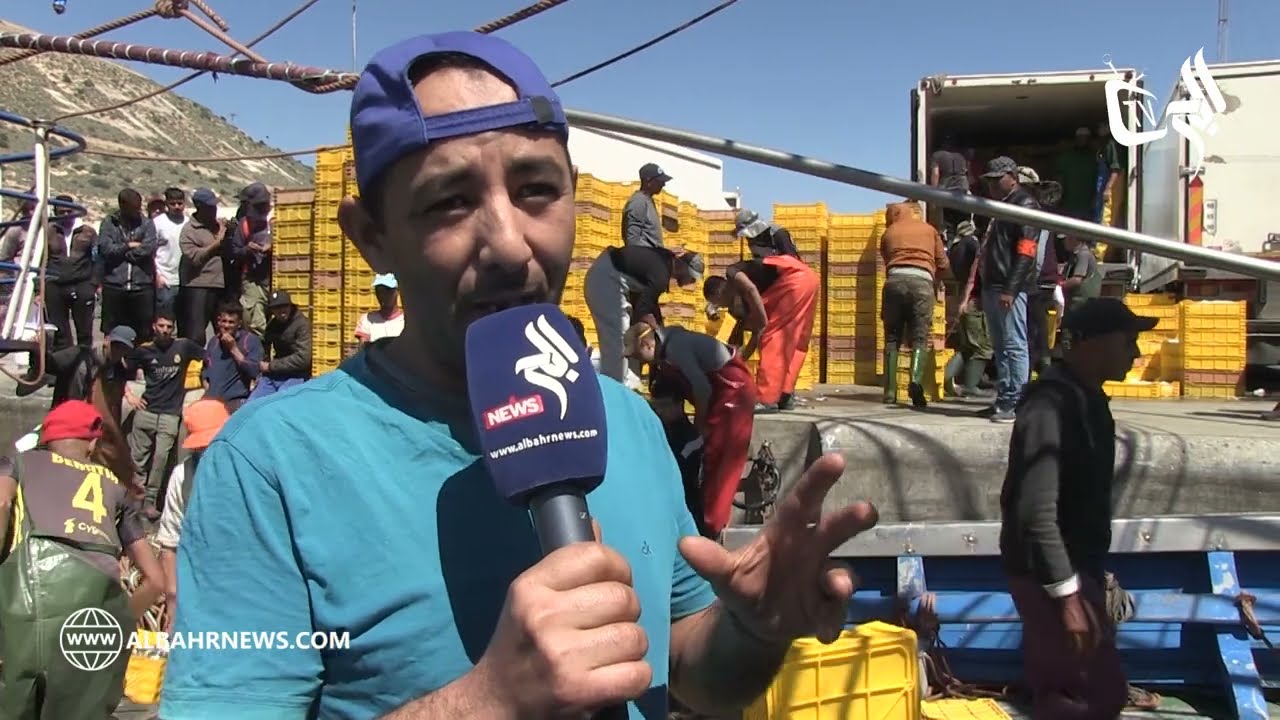 الأنشوبا تثير الجدل بميناء أكادير