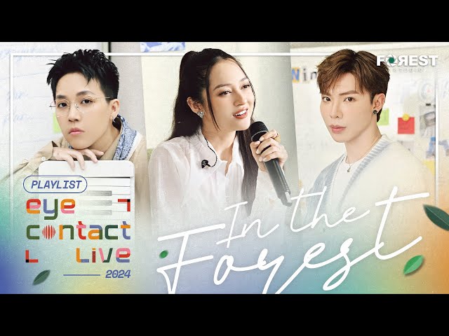 🌳 Playlist nhạc Eye Contact LIVE (In The Forest) | ERIK, Bảo Anh, Kai Đinh class=