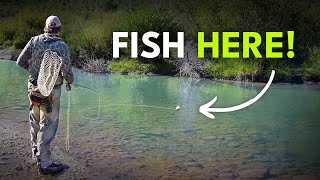 How To Find Trout In A River — Reading Water 101 | Module 8, Section 1
