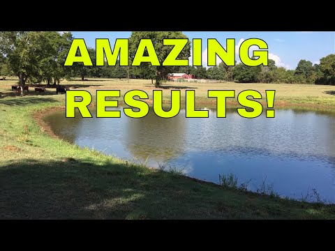 HOW TO SEAL A LEAKING DAM OR POND~ Amazing Results!