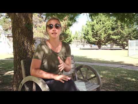 banjo's-all-seasons-accommodation-canadian-review-from-molly-by-grasshopper-travel