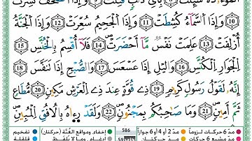 سورة التكوير برواية ورش عن نافع حمزة الجزائري