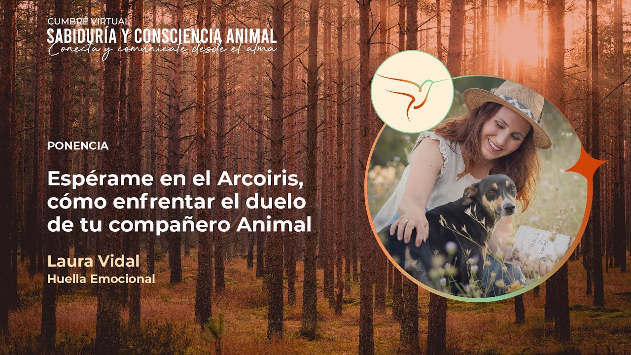Cápsula Laura Vidal "Espérame en el Arcoiris, cómo enfrentar el duelo