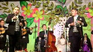 Hermoso cariño La Rondalla de Saltillo.AVI