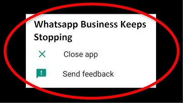 How To Fix Whatsapp Business Keeps Stopping Error Android Mobile